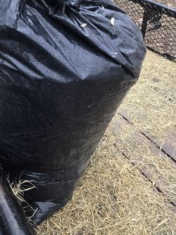 Saw Dust /Acerrin Para Caballos