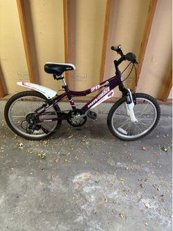 20” mountain bike