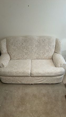 Classic camelback sofa with 2 cushions.