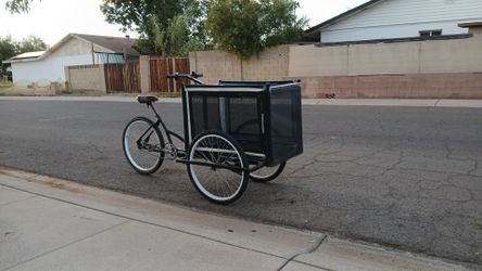 Pet Carrier bike