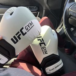 16 OZ Boxing Gloves