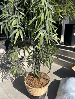 Fake plant