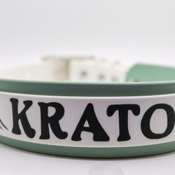 Custom Two Layer Biothane Dog Collars