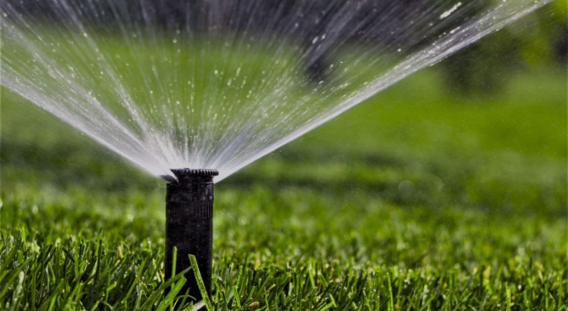 Sprinkler Repair TODAY – Broken Heads / Leaks / Valves