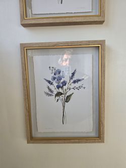 Carol Robinson Framed Botanical Floral Prints – Set of 2
