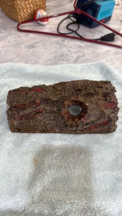 Tortoise or reptile log