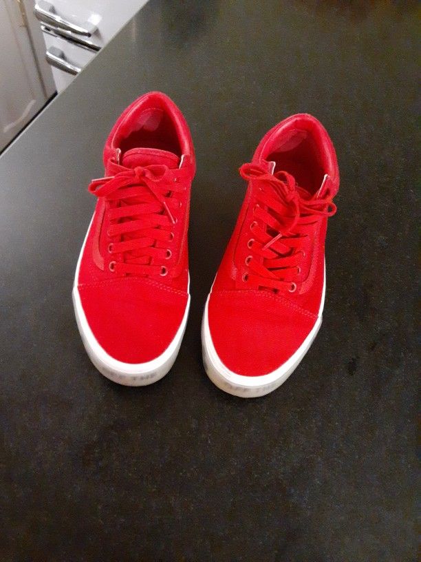 Vans Limited Edition Skate Shoes