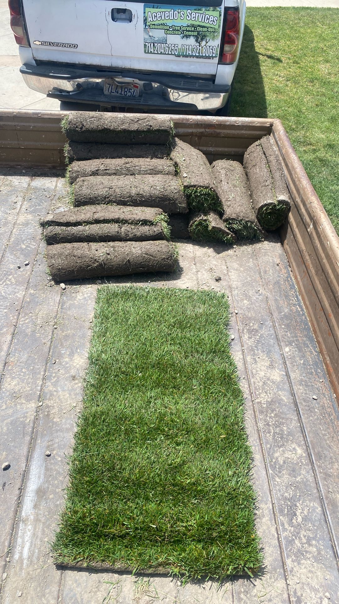 Fresh Fescue Grass Sod