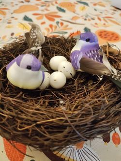 6" Birds Nest with Colorful Birds & Eggs 