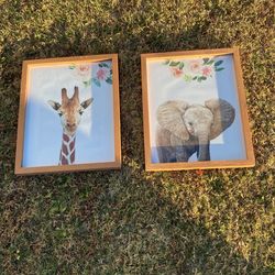 $15 Each Frame 