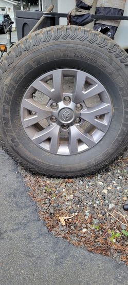Studded Tires