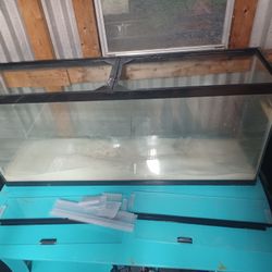 55gal Aquarium 