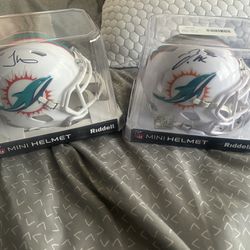 Miami Dolphins 