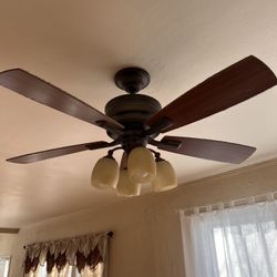 Ceiling Fan Again