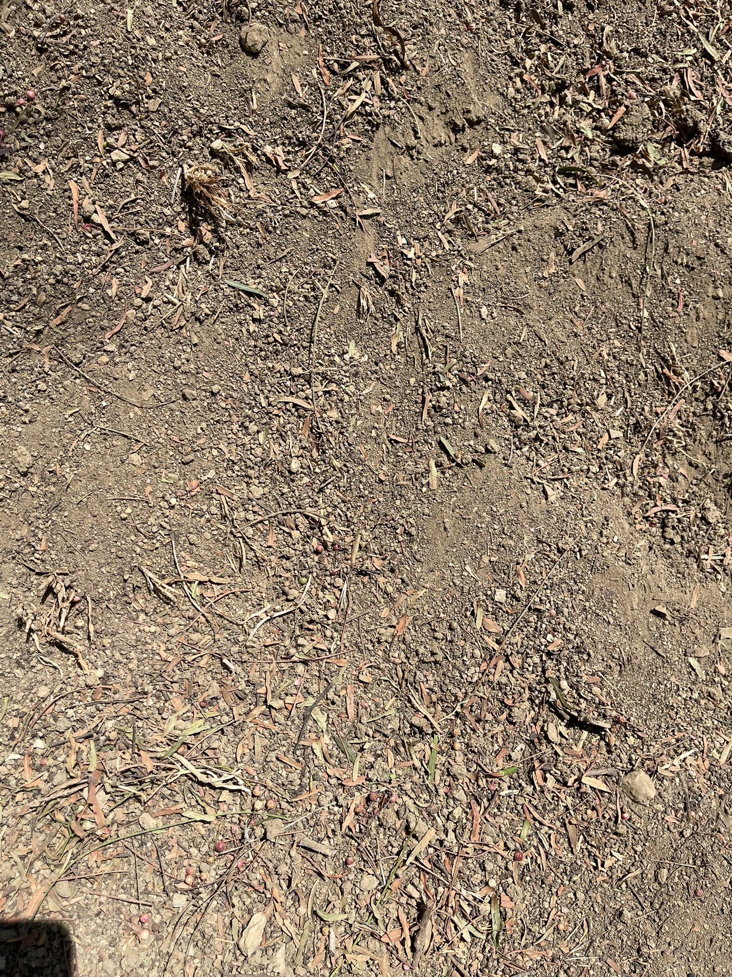 FREE SOIL POTTING PLANTING GARDEN DIRT