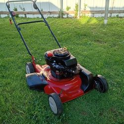 Self Propelled Lawnmower Briggs And Stratton 21in 