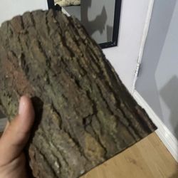 Log Decor For Reptiles