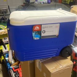 Igloo 38qt Roller Cooler