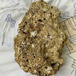 Live Rock For Saltwater Aquarium 