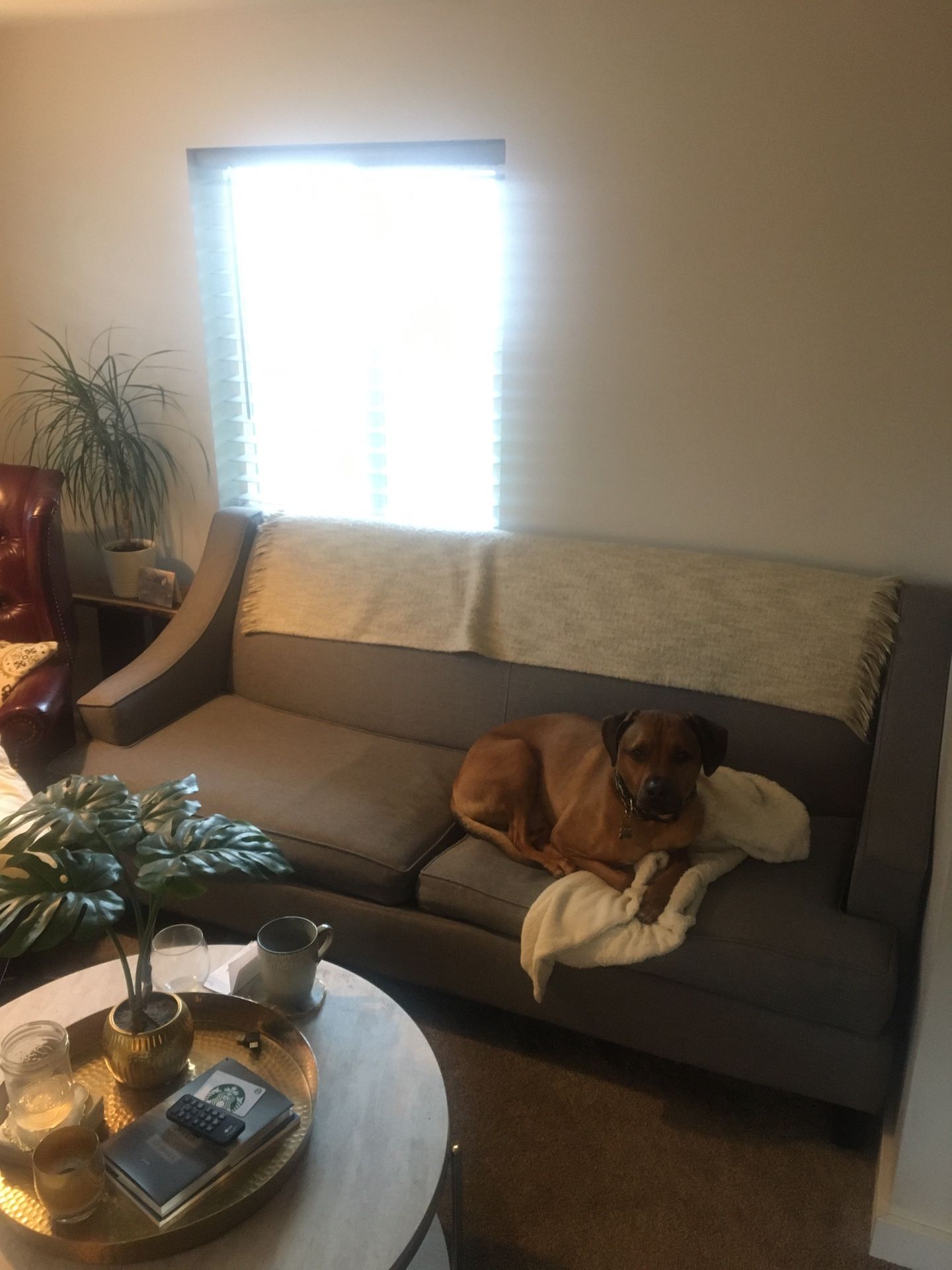 Mid Century Modern Sofa