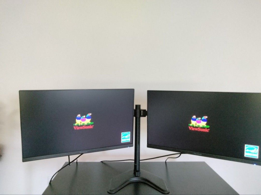 ViewSonic Dual Monitors With Stand