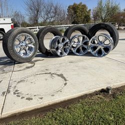 Panther Rims 