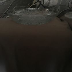 Platón Grandes. $98. Each .