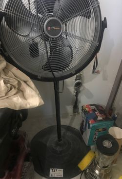 Fan