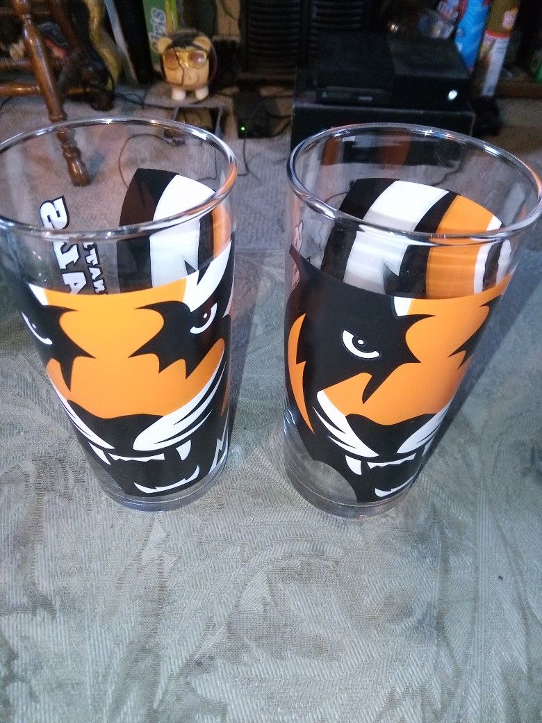 Bengals Glassware