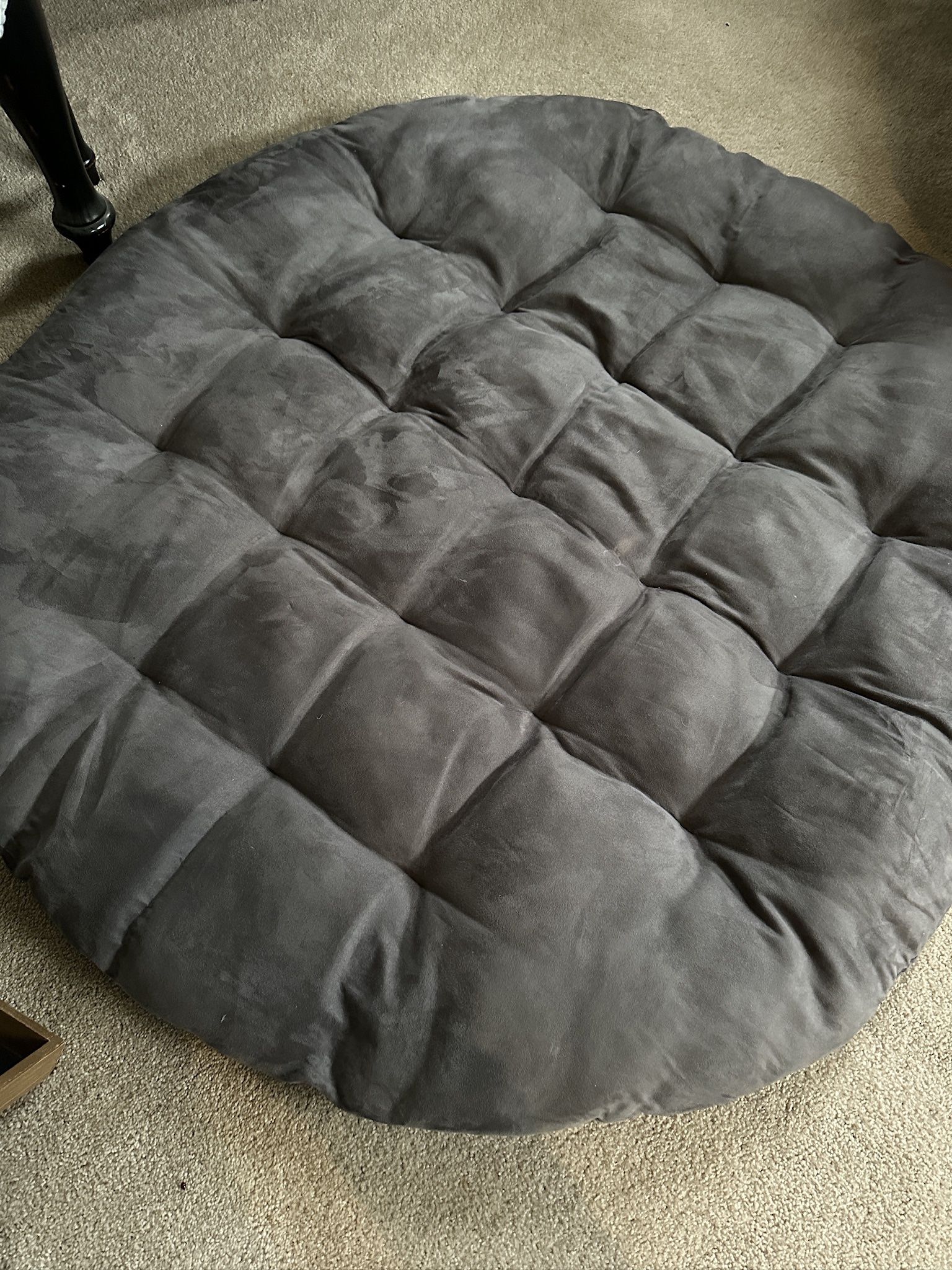 Papasan Cushion Or Dog Bed