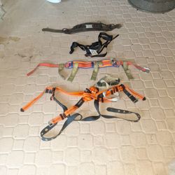 Climbing Tree Harness Set Of 4 Mix