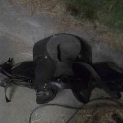 Horse Saddle 