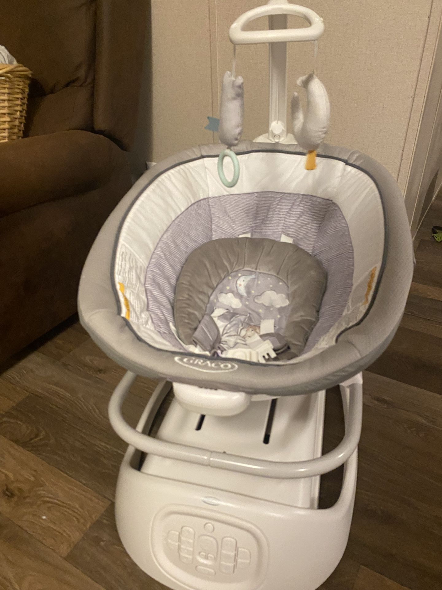 Baby Swing & Portable Rocker