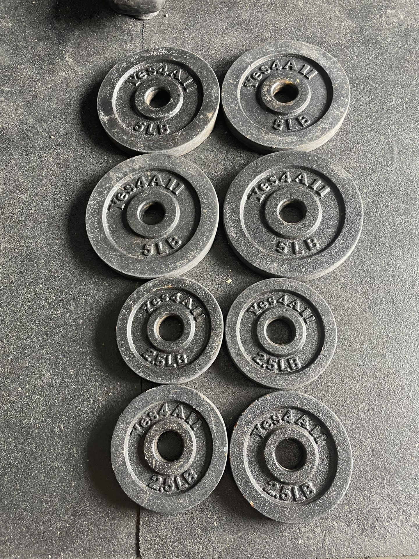 30 lbs Yes4All Standard 1” Weight Plate …. Home Gym Fitness For Less….