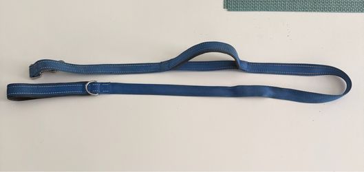 Dog Leash