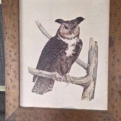 vintage framed owl prints attributed to the artist E. Rambow)