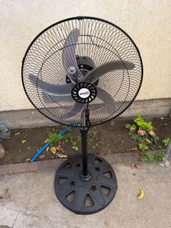 Fan.
