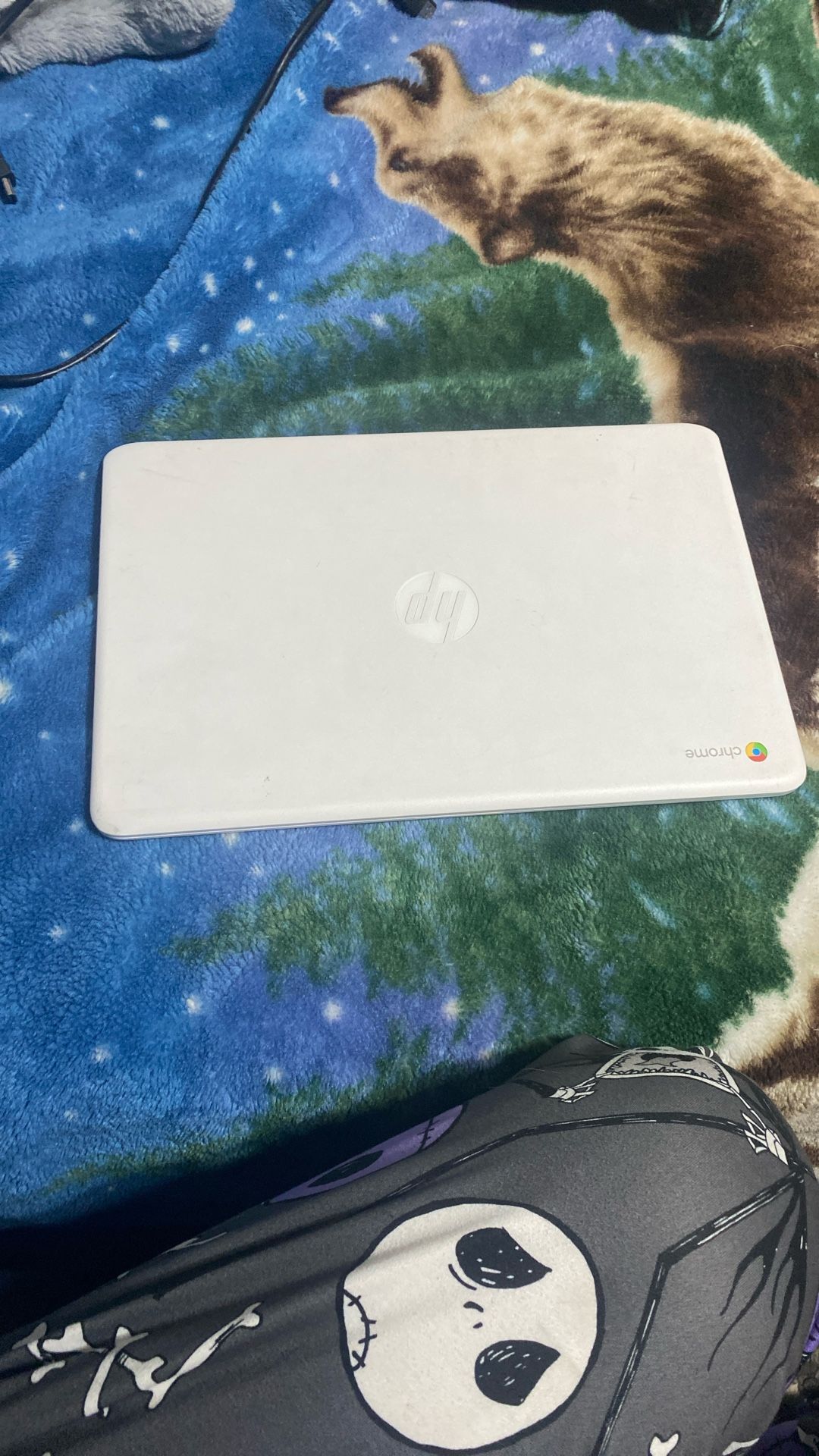chromebook
