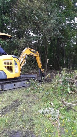 Mini Excavator With Operator
