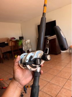 Penn Fathom 2 30LD2 w/ Shakespeare UglyStik Tiger Rod