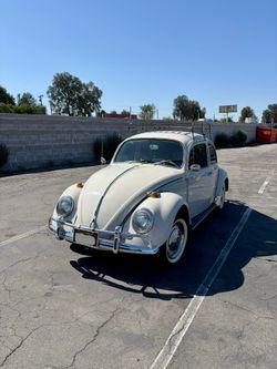 1966 VW BUG