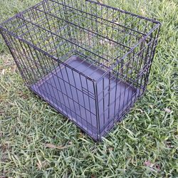 Dog Crate Or Kennel