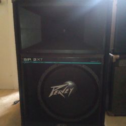 Peavey Model Sp 2xt