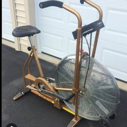 Schwinn Air Dyne Gold Standing Bike 
