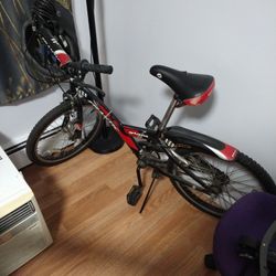 Bicycle $40