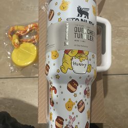 Winnie The Pooh Or Magnificent Stanley 