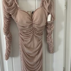 New Blush Ruched Dress