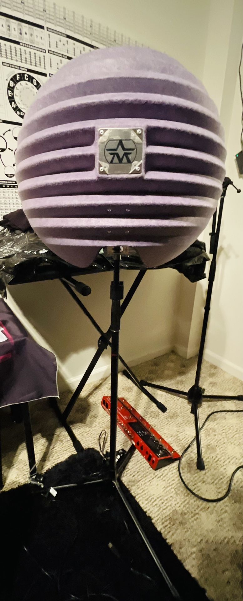 HALO Microphone Reflection Filter