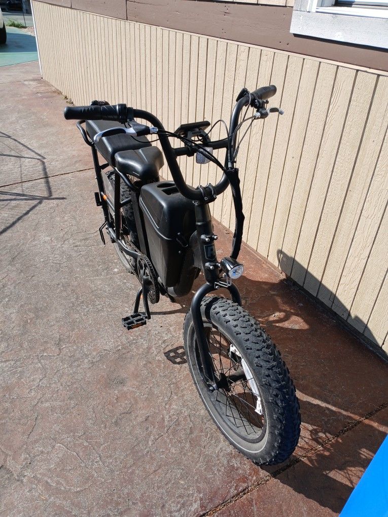 Radrunner plus 2 ebike