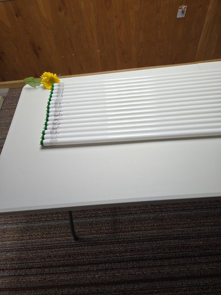 15 Fluorescent Light Bulbs (48 inch)